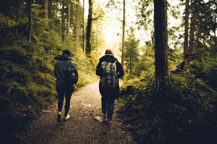two people walking in the forest